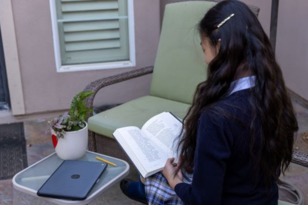 A young scholar absorbed in her book